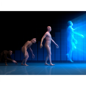 Digital evolution of humans